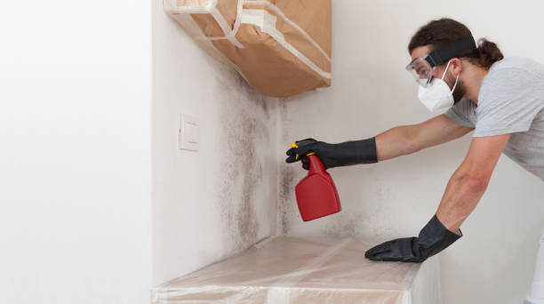 Professional Black Mold Remediation technician working in Mine Hill, NJ