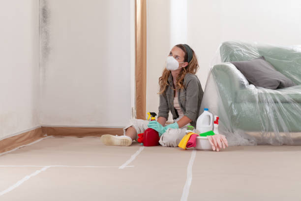 Reliable Black Mold Remediation contractor in Mine Hill, NJ by Car Mold Remediation